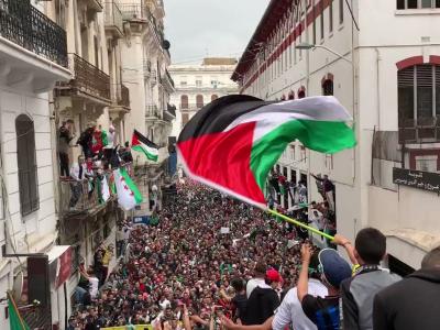 مسيرات - الجزائر-فلسطين-غزة