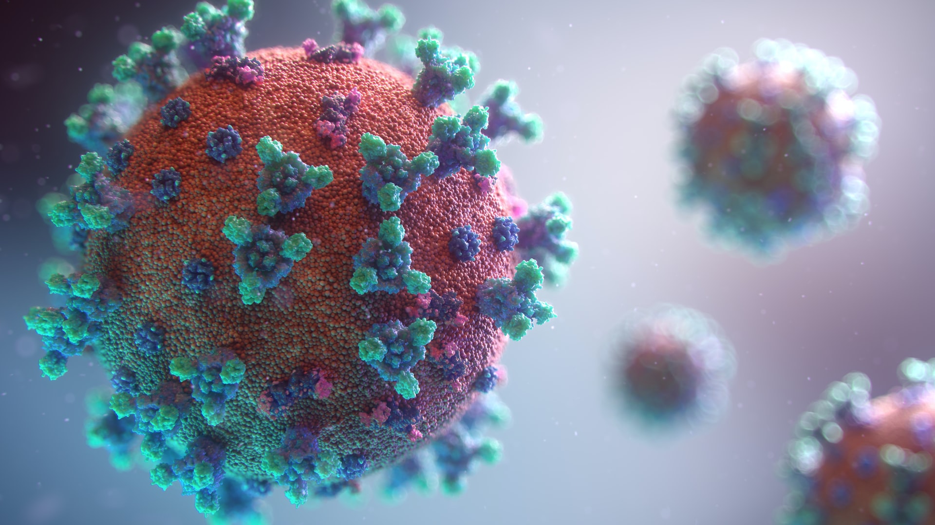 CoronaVirus