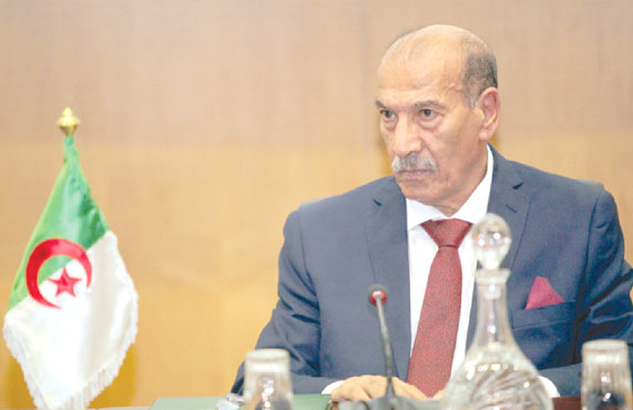 رئيس المجلس الدستوري كمال فنيش