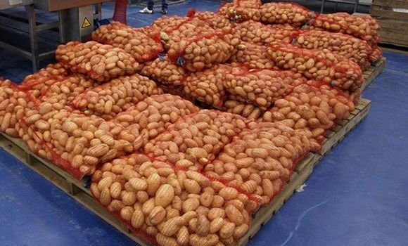 destockage pomme de terre 14.10