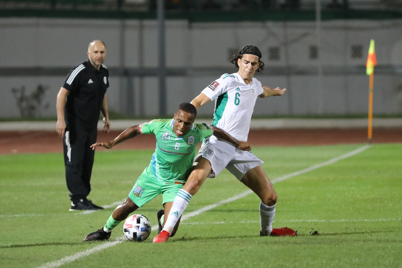 المنتخب الوطني