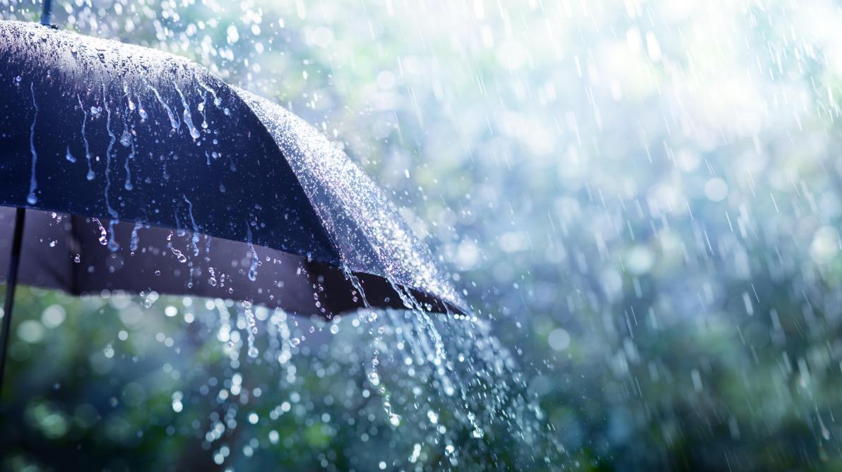 Pluies orageuses sur plusieurs wilayas du pays