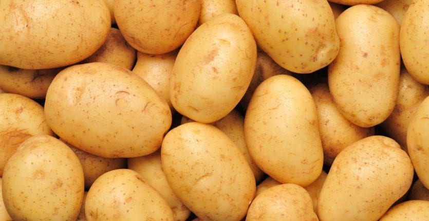البطاطا