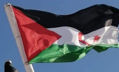 الصحراء الغربية