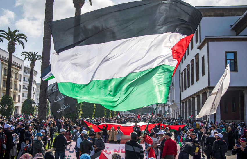 Contre la normalisation