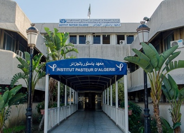 ipa omicron 24.12.21