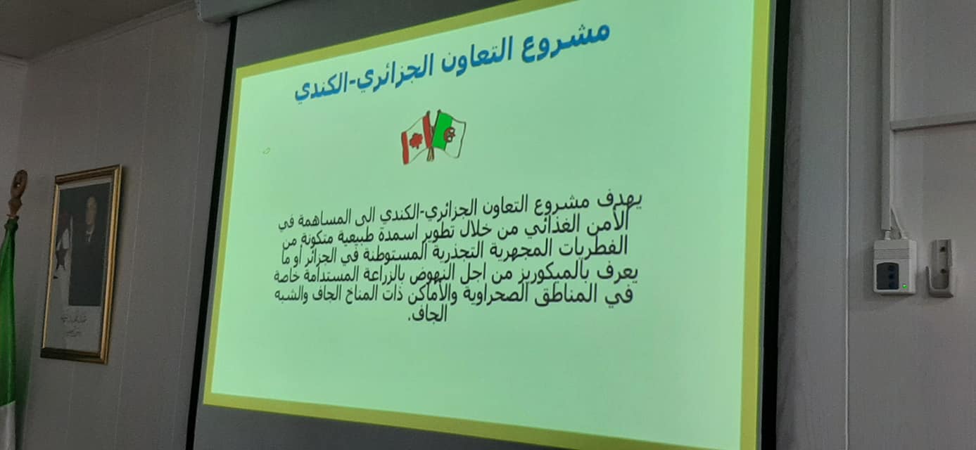 جامعة جامعة
