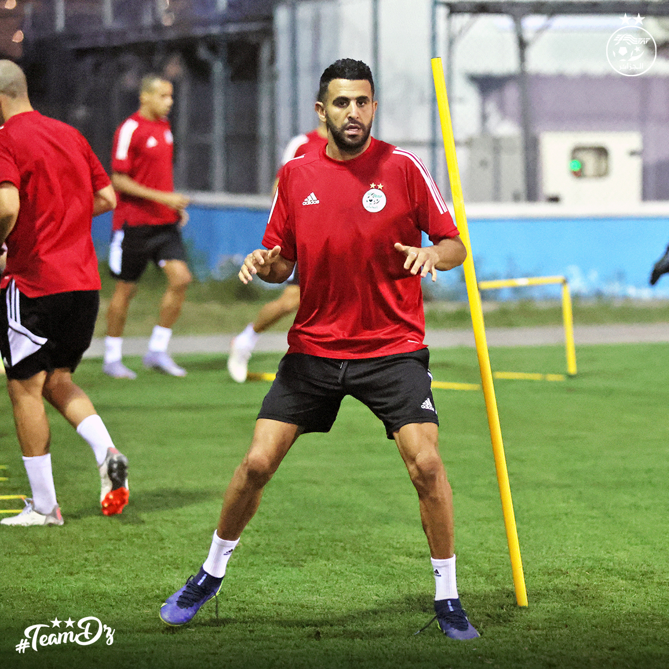 جانب من تدريبات الخضر تحسبا لمواجهة غينيا