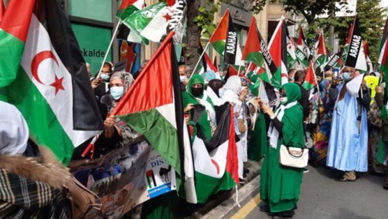 الصحراويون