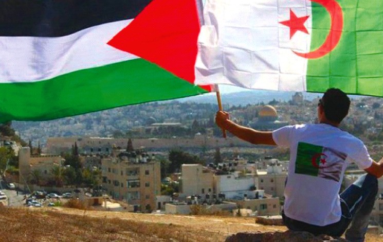 Algérie Palestine