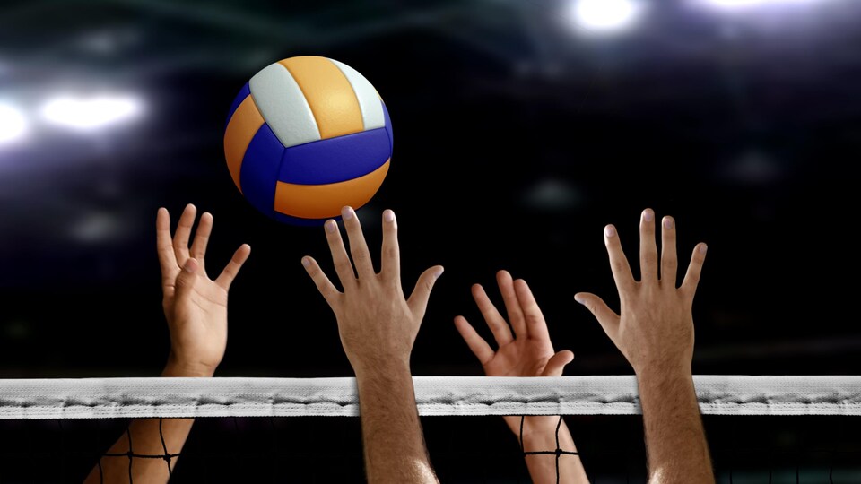 Volleyball Algérie