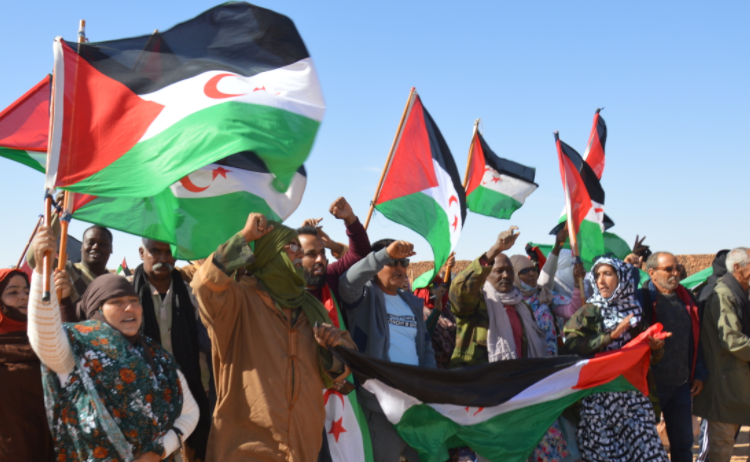 الشعب الصحراوي