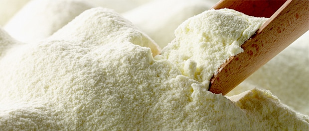 مسحوق الحليب