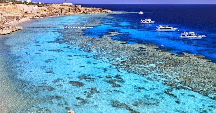 مناطق العالم الساحلية