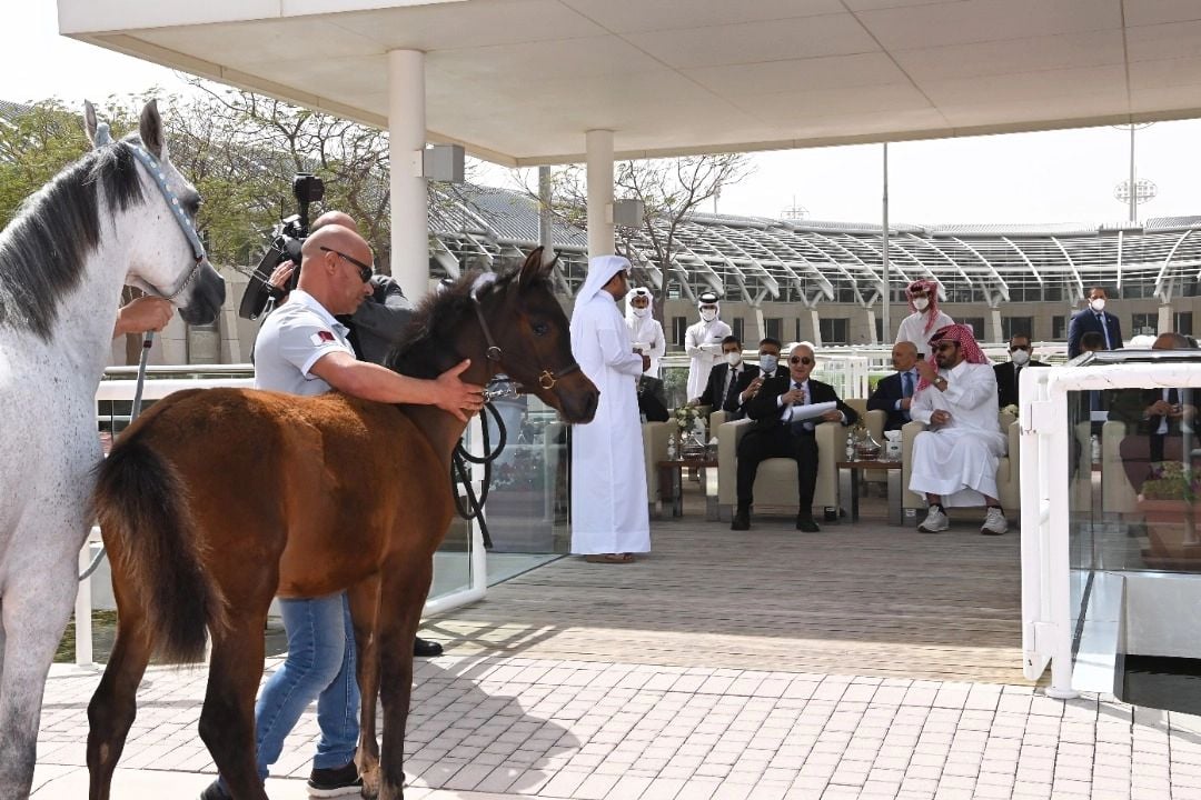 Tebboune au Qatar.21.02.2022