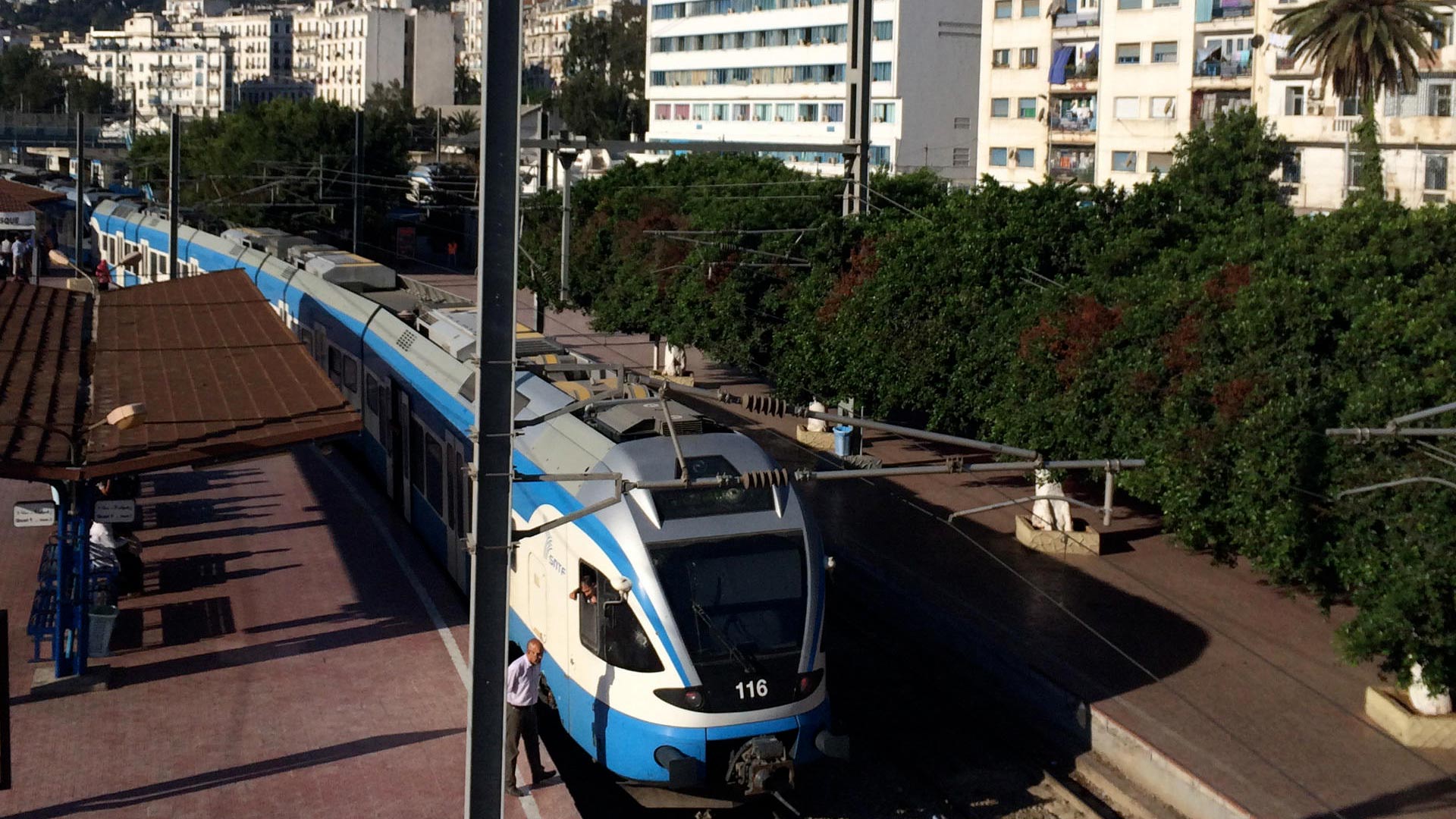 Train SNTF