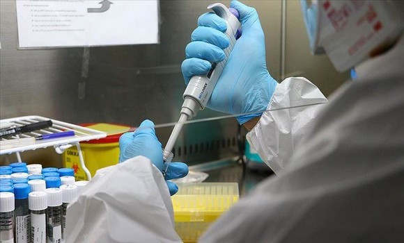 Coronavirus Algérie.06.02.2022