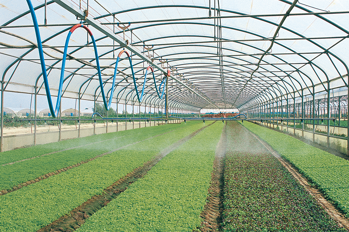 Agriculture 08.02.2022