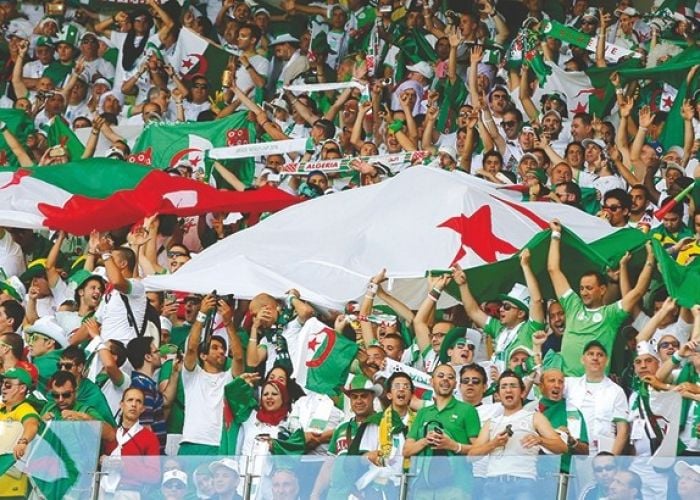 أنصار الخضر