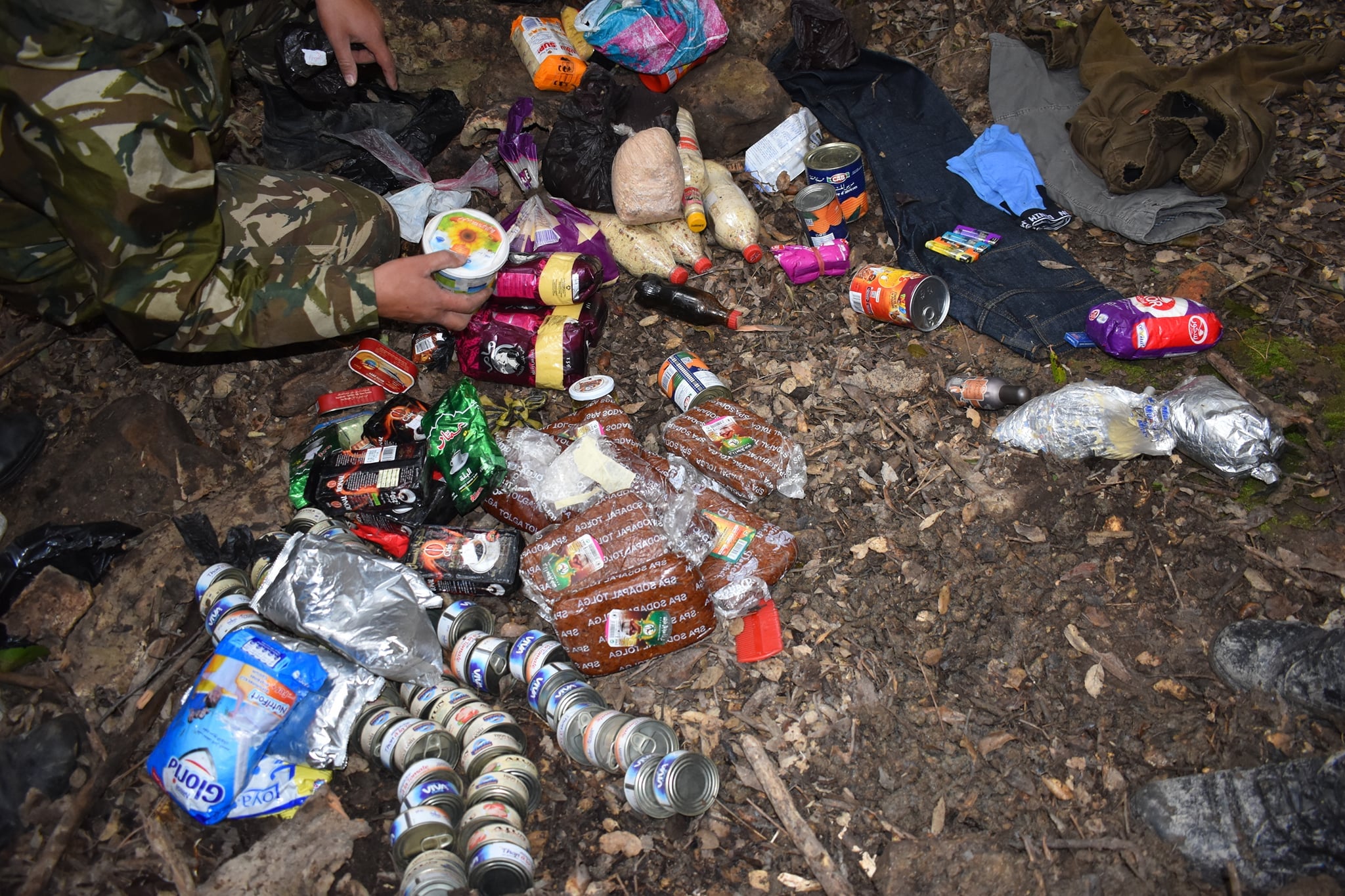 الجيش الوطني الشعبي