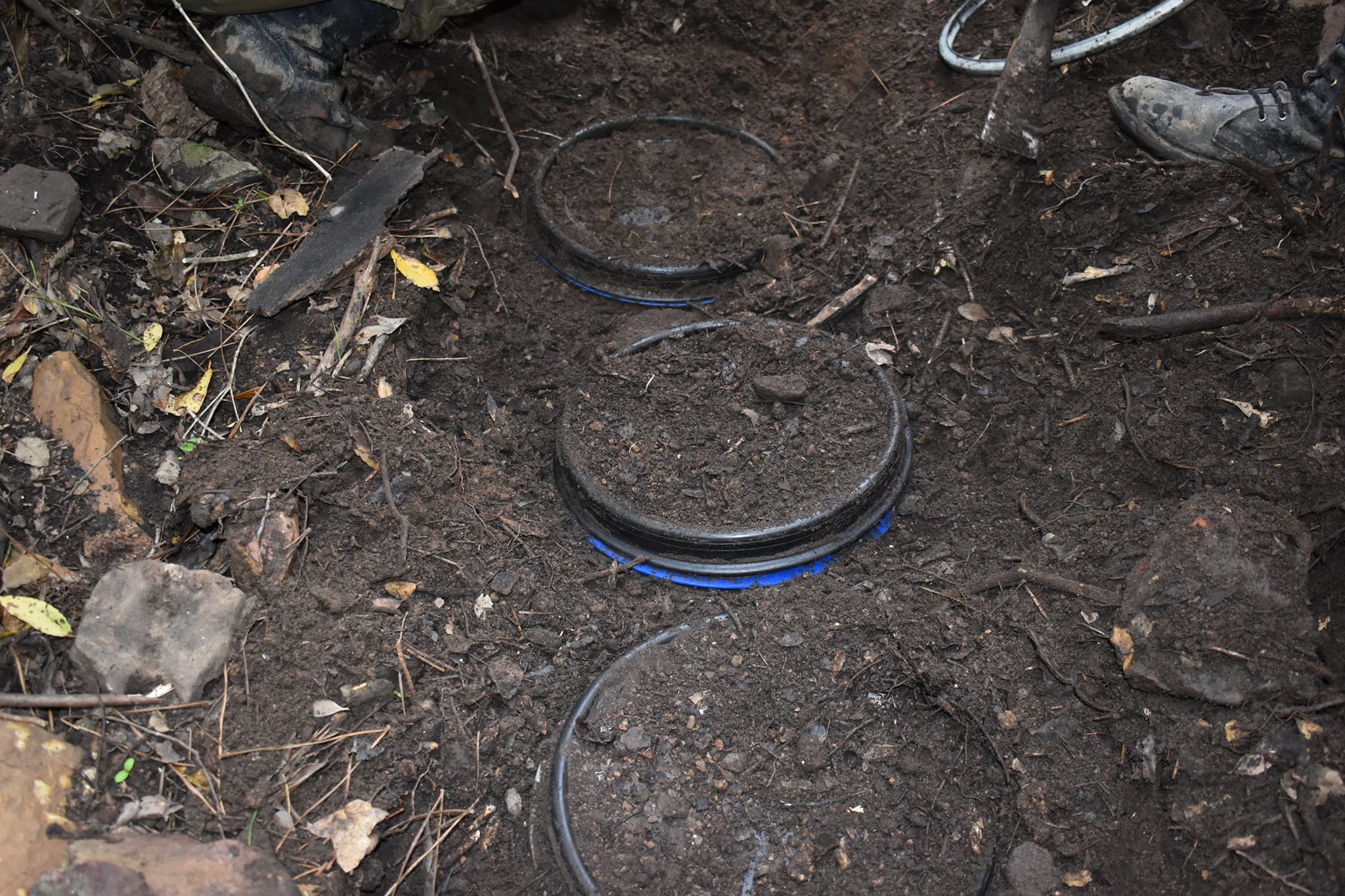 الجيش الوطني الشعبي