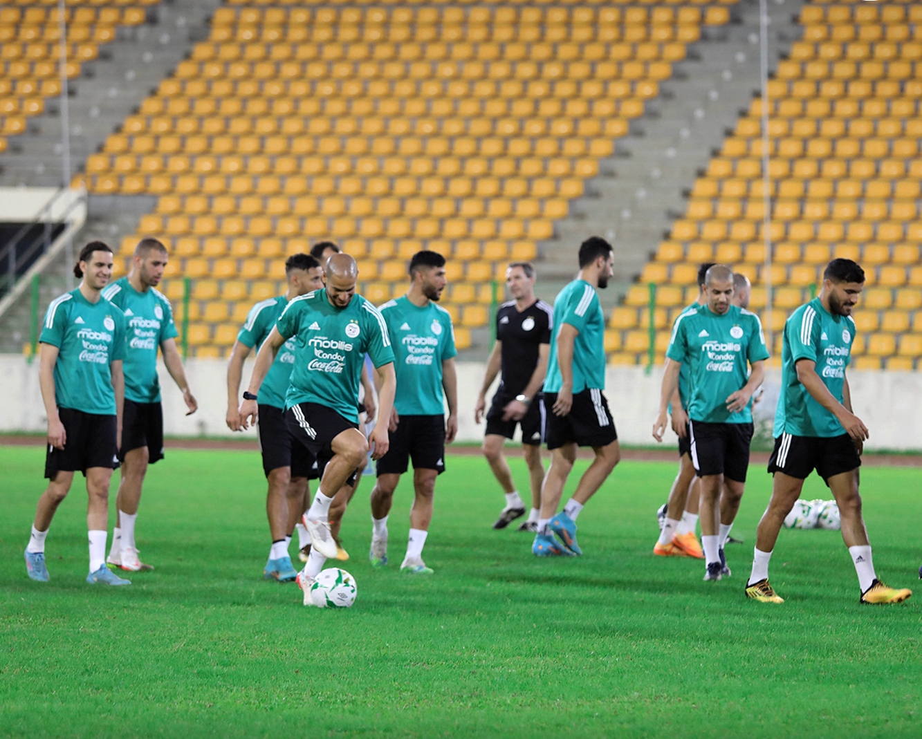 المنتخب الجزائري لكرة القدم