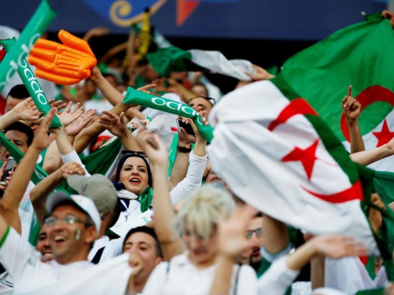 انصار المنتخب الوطني