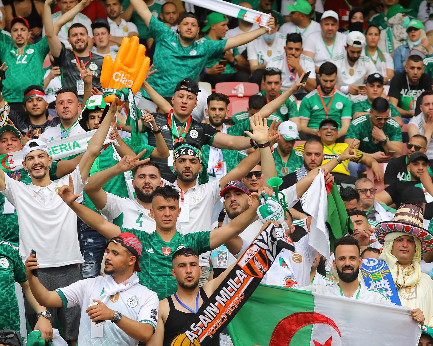 أنصار الخضر