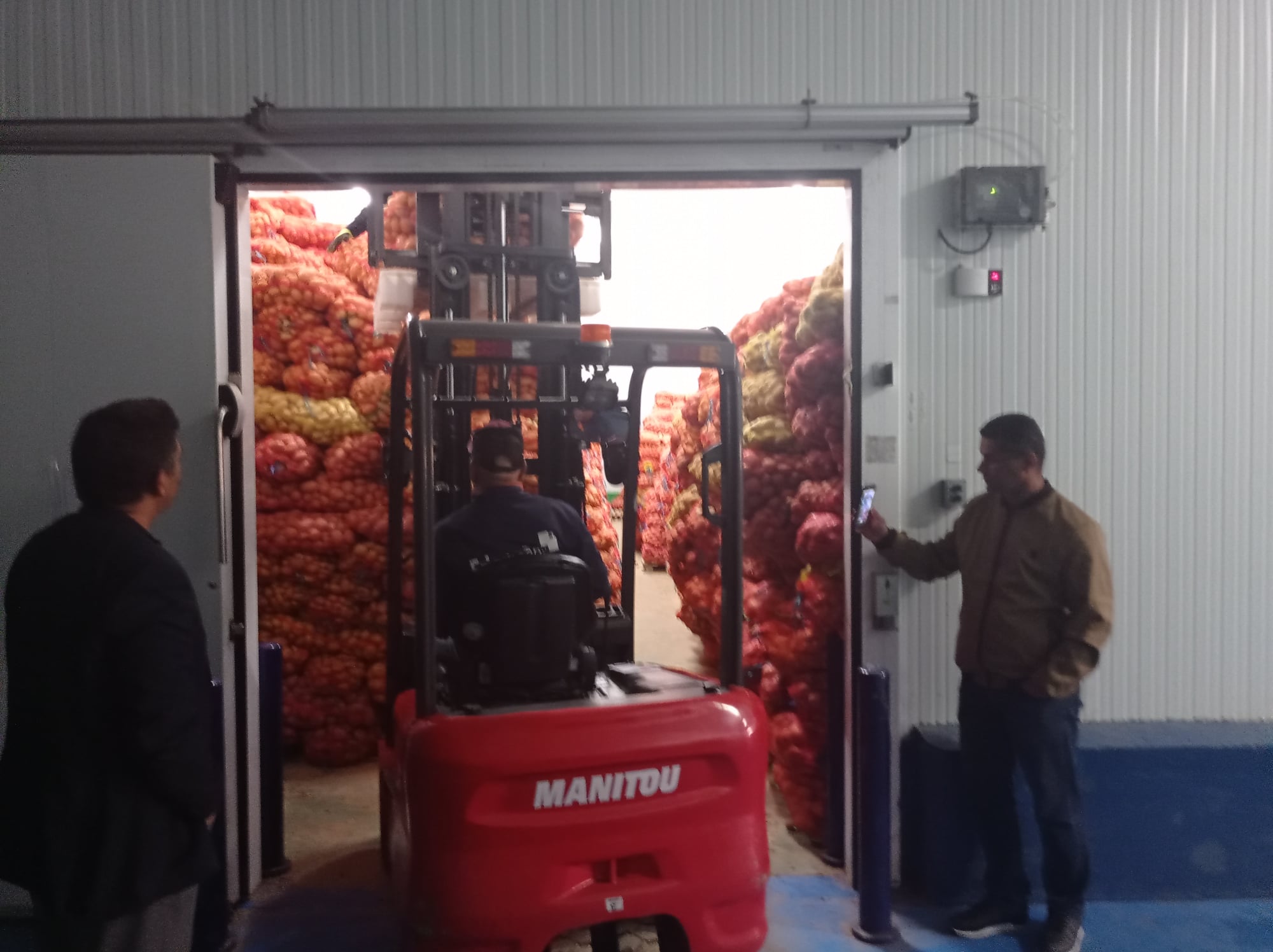 onilev-déstockage pomme de terre