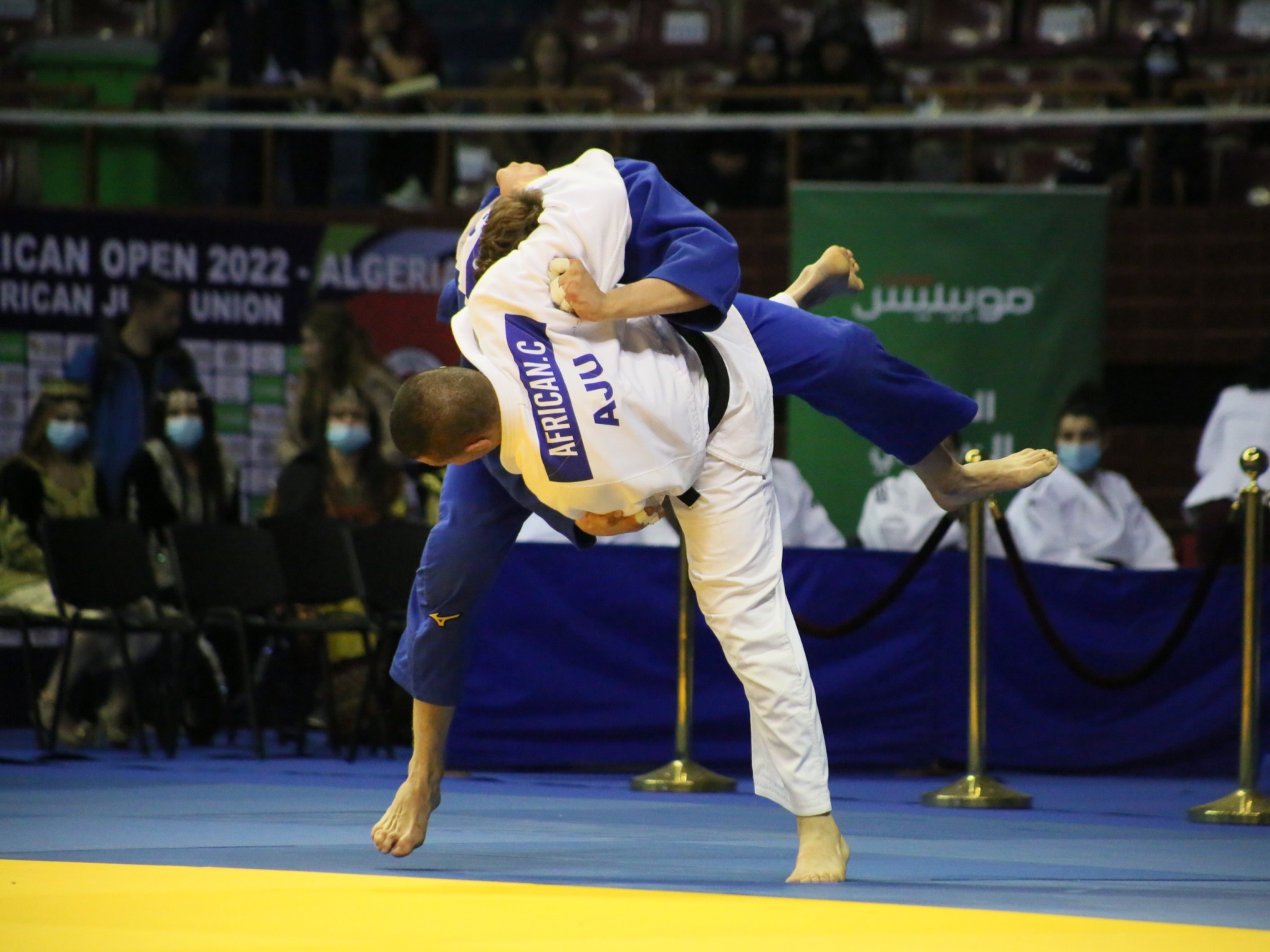 Open d'Alger de judo