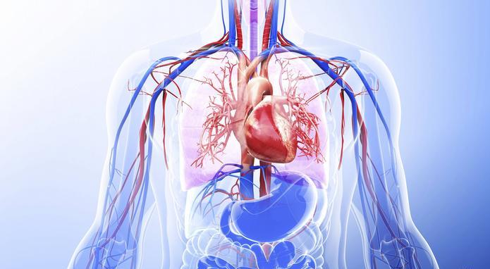  الصيام الصحي