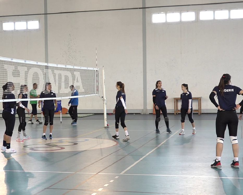 المنتخب الوطني النسوي لكرة الطائرة