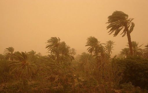 Des vents sur des wilayas du Sud et de l'Est