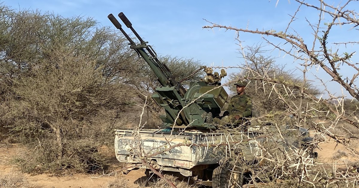 الجيش الصحراوي