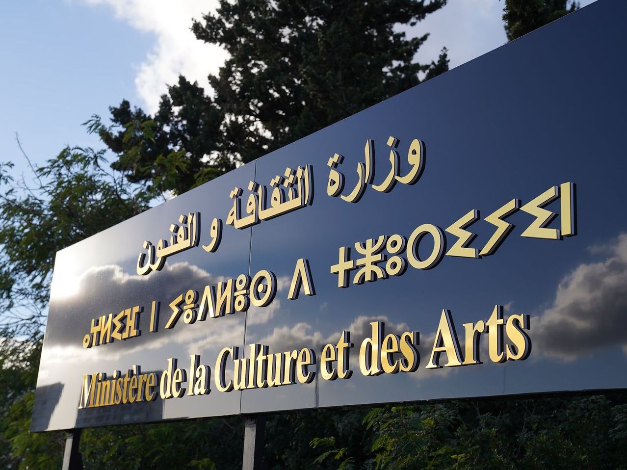 dz-culture