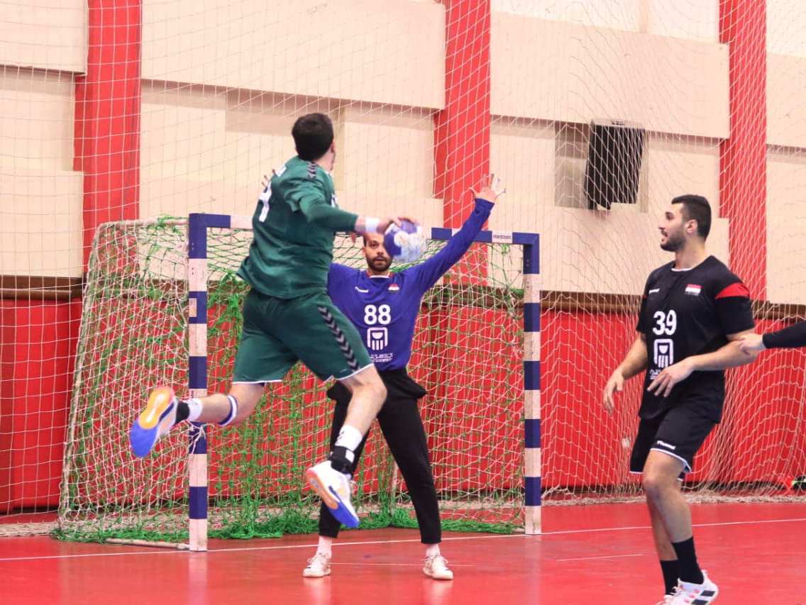 Equipe nationale de handball