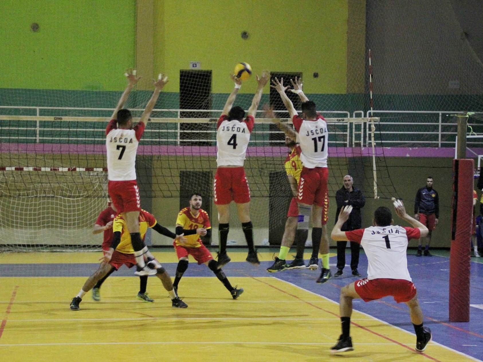 Volleyball Algérie