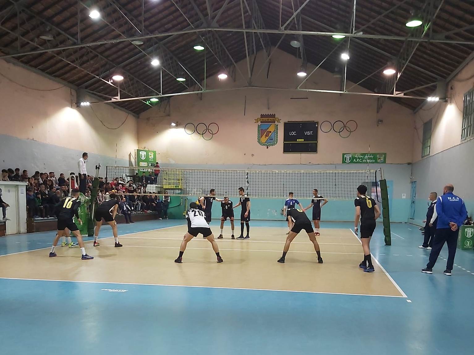 Volleyball Algérie