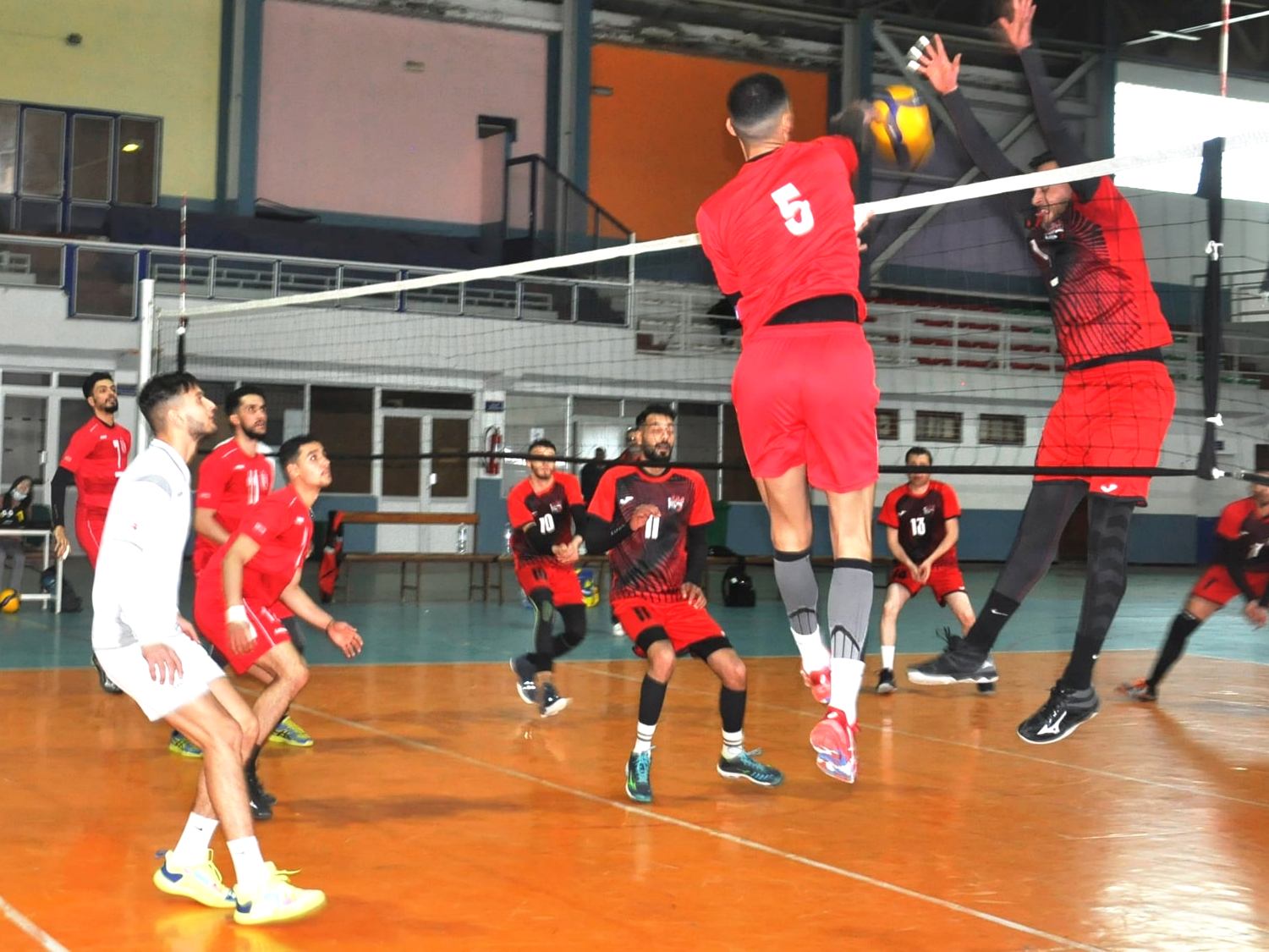 Volleyball Algérie
