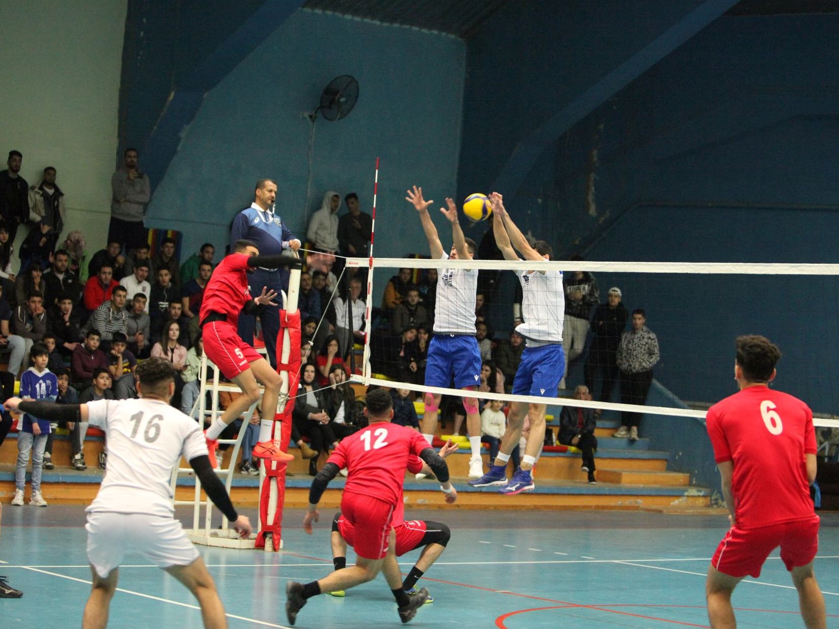 Volleyball Algérie