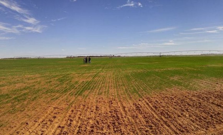 الأراضي الفلاحية