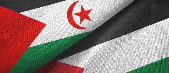فلسطين والصحراء الغربية
