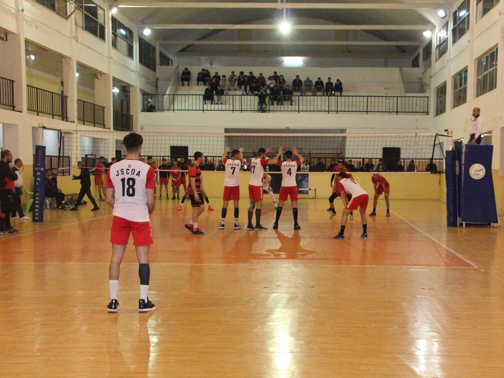 Volleyball Algérie