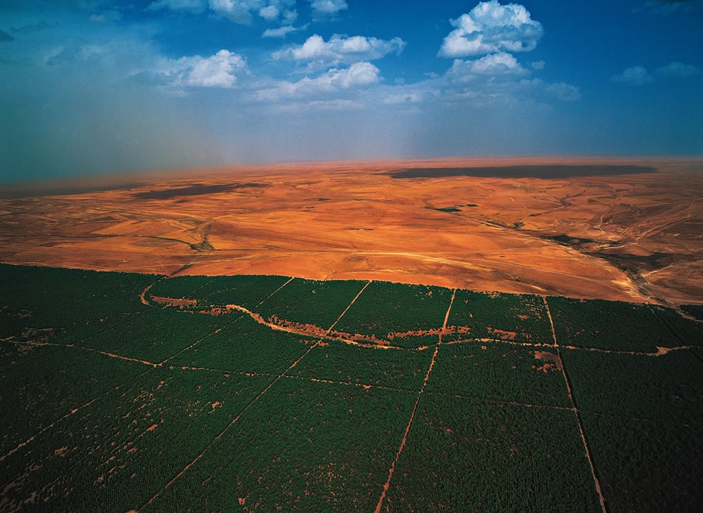 إعادة بعث السد الأخضر