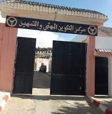 التكوين المهني والتمهين