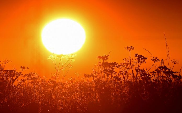 CANICULE.26.06.2022