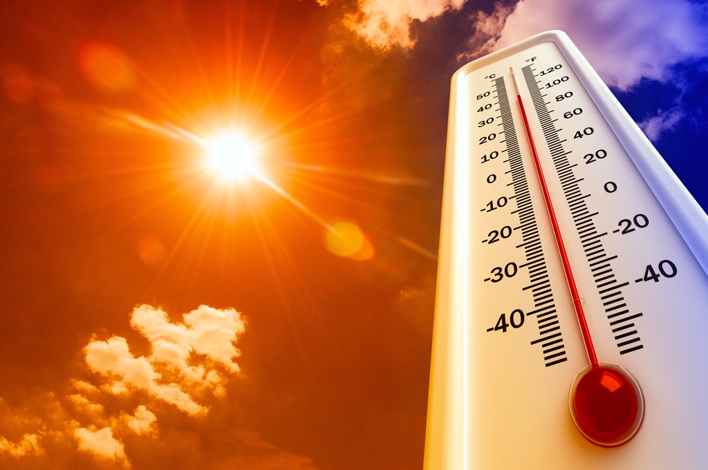 Canicule