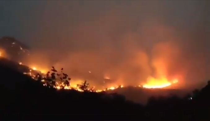 Feux de forets à Sétif