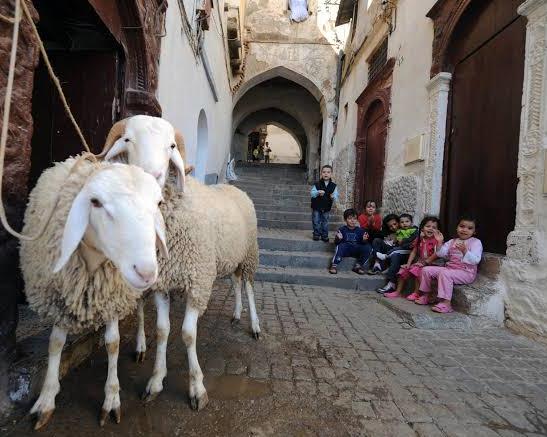 عيد الأضحى المبارك