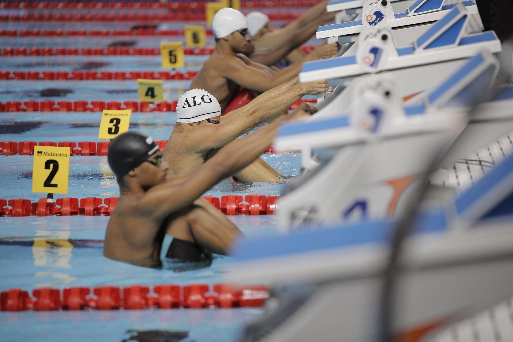 البطولة العربية للسباحة بوهران